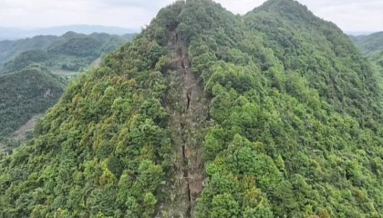 毕节一地疑山体开裂现出巨大裂痕，村民称在家听到山上响动，当地：正在协调第三方勘探