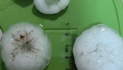 北京多区下起冰雹，市民：感觉玻璃都要被砸碎了