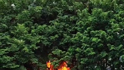 福州一小区发生火灾，现场火势较大、浓烟滚滚！