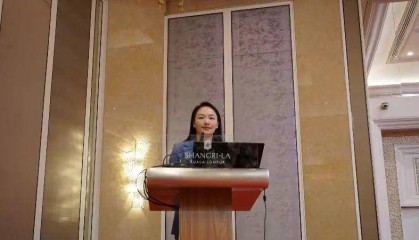 A股公司董事长提名新董秘，董事长前妻投反对票：“缺乏良好的职业操守”