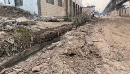 西安4岁男童被恶犬咬伤！禁养办：追捕中！疑流浪狗，管理困难