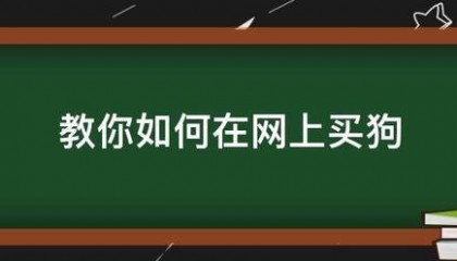 教你如何在网上买狗