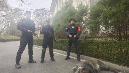 已确认，当场击毙！“攻击力极强！”