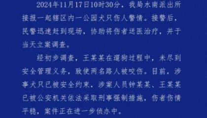 母女在公园遭4条大型犬撕咬 涉案2人被采取刑事强制措施 律师：或涉嫌以危险方法危害公共安全罪