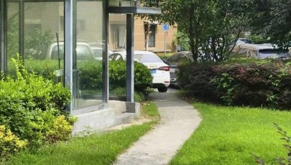 上海七旬老人小区散步被毒蛇咬伤，女儿崩溃：医院怎么选……这份救命指南快收好！