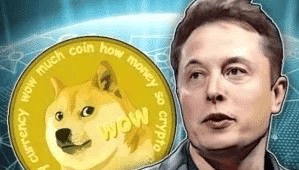 马斯克、特斯拉“操纵内幕交易”狗狗币DOGE反弹上涨！漂亮国法官表示......