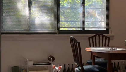 辞职、出国、卖掉老洋房，一个上海精英决定换种生活