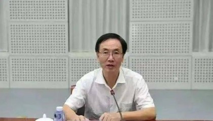 打虎！胡幼桃被查