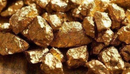 2024年俄罗斯新发现229个金矿