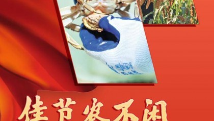 大众日报与16市党报联动，看山东新农人忙农事