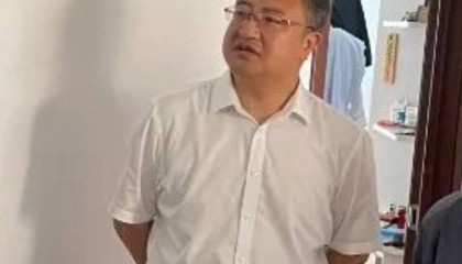 中央巡视组巡视期间，李大伟主动投案