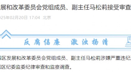 涉嫌严重违纪违法！北京市西城区、丰台区2人接受审查调查
