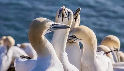 山火后洛杉矶1天下完9个月的雨，泥石流突袭好莱坞山