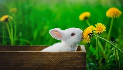 深夜突发！美股、美元暴跌，英特尔崩了！人民币暴涨，黄金猛拉！