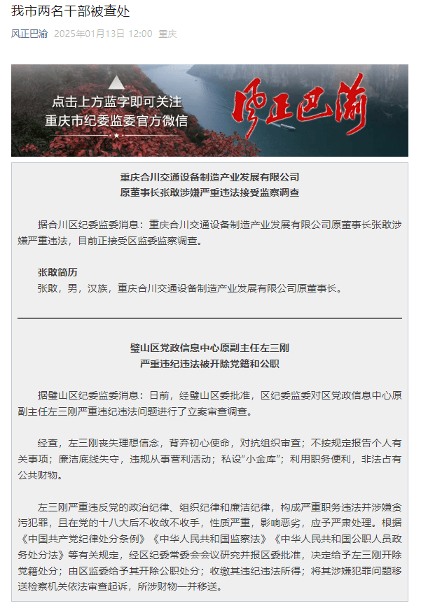 重庆合川交通设备制造产业发展有限公司原董事长张敢等两名干部被查处