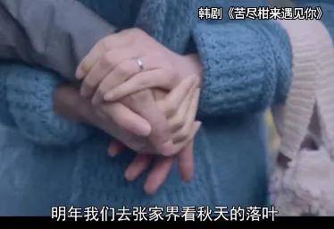 热搜第一！张家界回应因韩剧台词又在韩国爆火