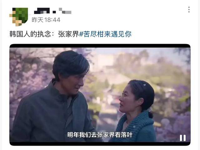 热搜第一！张家界回应因韩剧台词又在韩国爆火