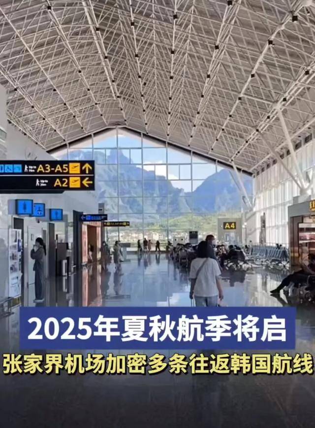 热搜第一！张家界回应因韩剧台词又在韩国爆火