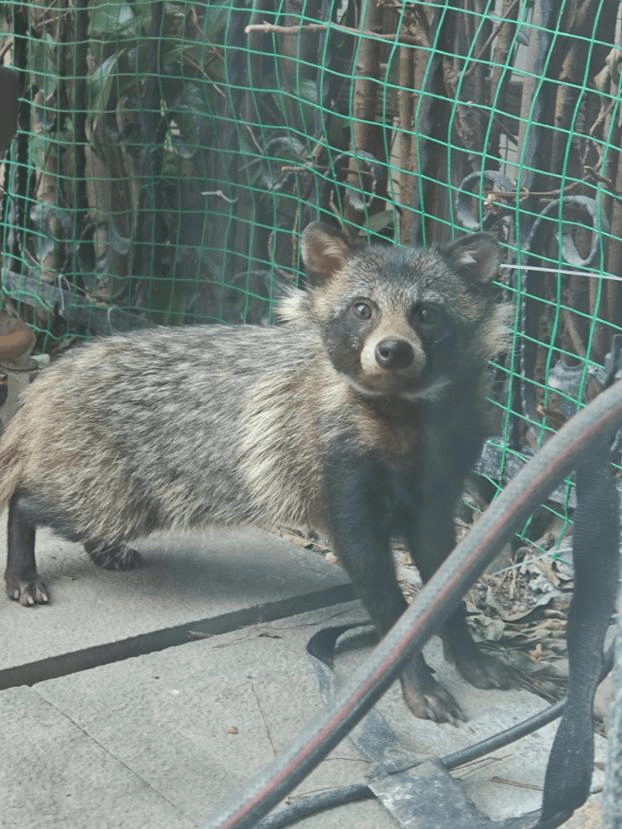 上海一小区居民苦恼新邻居:突然搬来让人提心吊胆!不能抓不能打