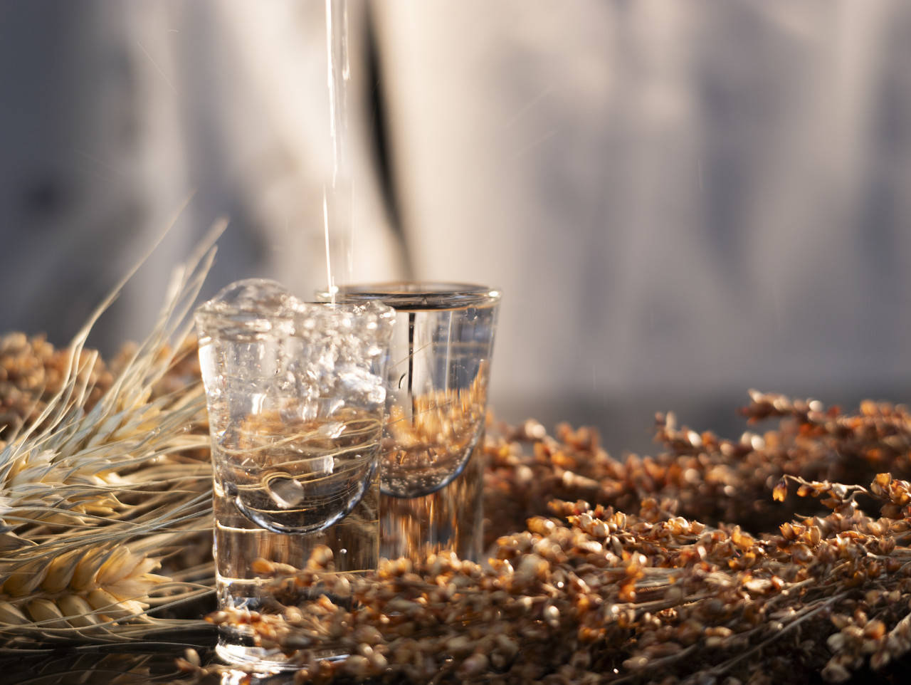 白酒巨头“扎堆”光瓶酒:59元洋河卖爆了,有烟酒店老板半个月补货四次