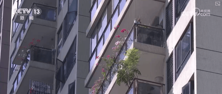 居住环境→租赁关系→资金安全……全方位保障！一文读懂《住房租赁条例》