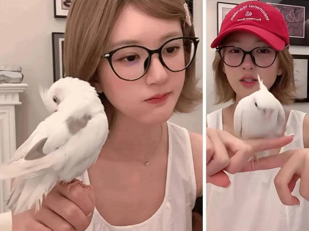 怒撕经纪公司后赵露思开启直播，同款花卷、包包都卖爆