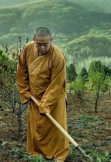 难以置信!4位名人力挺释永信,拿他当亲爹、称少林不能没他