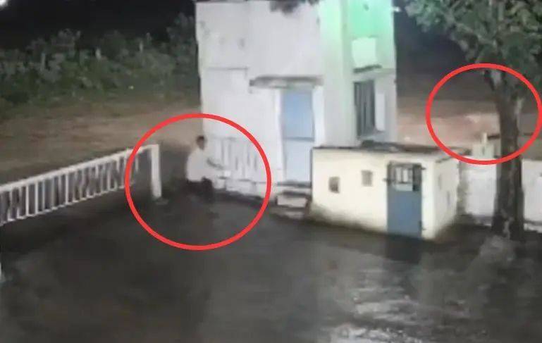 印度一男子后院与狮子相逢,双方都被吓懵,狮子扭身先逃