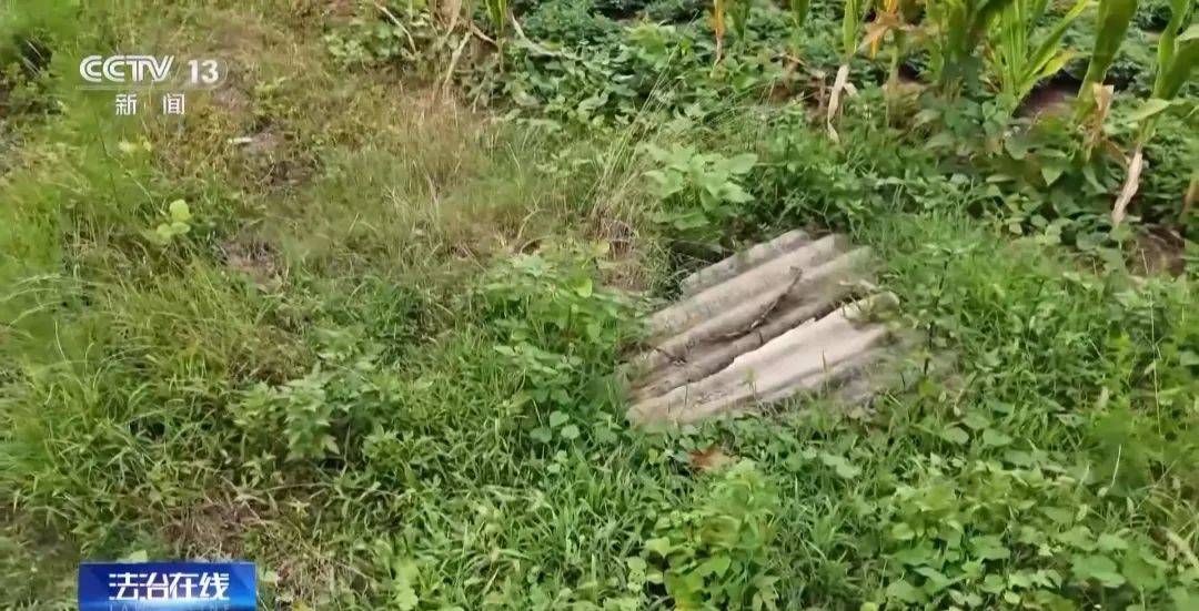 湖北警方破获特大盗墓案：嫌犯看小说学盗墓，挖走20件青铜器国宝，警方扮成“实力买家”接近，大量细节曝光