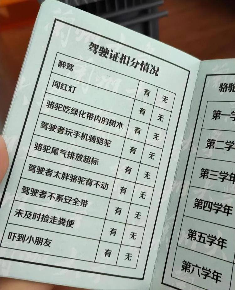 一人一驼，骆驼尾气排放超标要扣分？兰大回应学生持证骑骆驼上学：骆驼驾驶证为学校文创，非官方证件