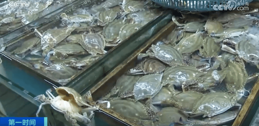 价格“大跳水”！你爱吃的“它”，卖爆了