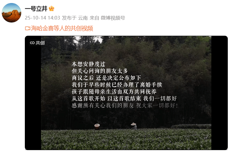 李亚鹏和小19岁海哈金喜离婚被指避债，律师解读：李亚鹏的债务或不受离婚影响