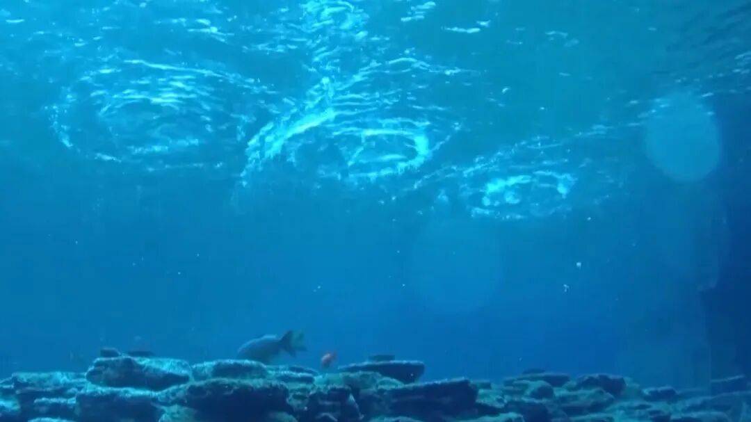 趵突泉“水涌若轮”是靠水泵?专家辟谣,央视揭秘真相